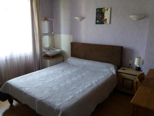 een kleine slaapkamer met een bed en een wastafel bij Gîte "les hortensias" au coeur de Lacaune in Lacaune