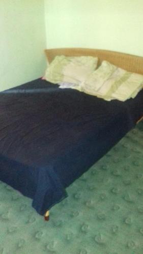 Cabana Fagilor في Someşu Cald: سرير في غرفة نوم مع لحاف أزرق