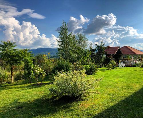 a yard with green grass and trees and a house at Conacul Paloși in Horezu