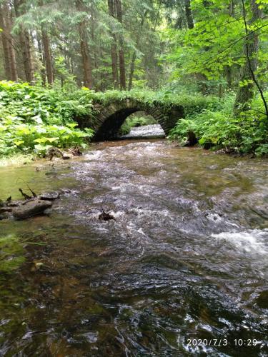 a bridge over a stream in a forest at Apartmán Nad terasou in Říčky