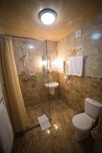 a bathroom with a shower and a toilet and a sink at Sonyachniy Promin in Polyana