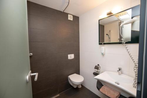 a bathroom with a toilet and a sink and a mirror at Hotel Wittgensteiner Hof in Bad Laasphe