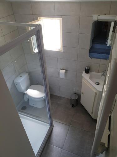 ein kleines Bad mit WC und Waschbecken in der Unterkunft Atelier n°4 in Fontaine-de-Vaucluse