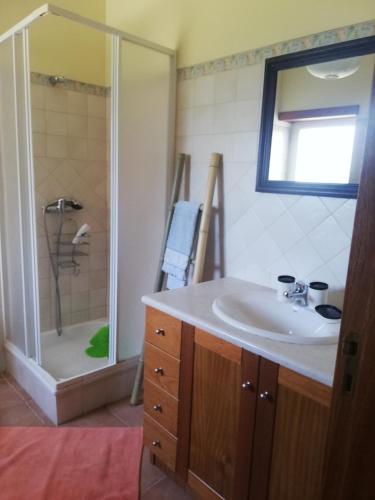 a bathroom with a sink and a shower at Villa Gomes Pedro in Tomar