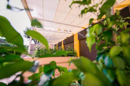 a school hallway with green plants in a building at Hotel Rural El Molino de Felipe in Mula