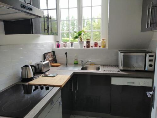 une cuisine avec un évier et un micro-ondes dans l'établissement Magnifique deux pièces au calme, à Deauville