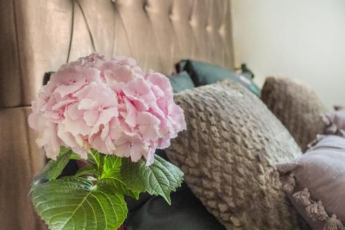 a pink flower in a vase next to a couch at Casa PERLA in Dunajská Streda
