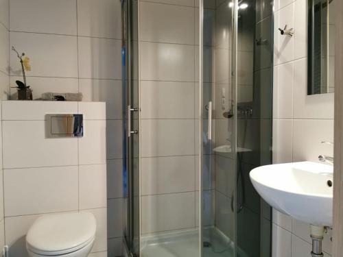 a bathroom with a shower and a toilet and a sink at Leśna Villa in Wiśniówka Mała