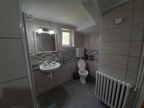 uma casa de banho com um WC e um lavatório em Apartman Talija em Arandjelovac