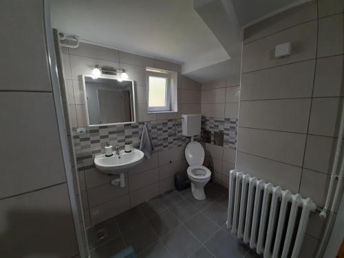 a bathroom with a toilet and a sink at Apartman Talija in Arandjelovac
