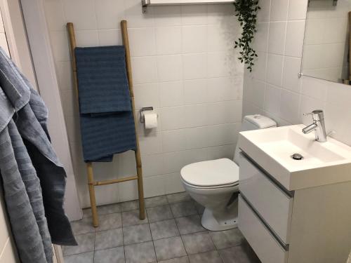 y baño con aseo y lavamanos. en Guesthouse Dybbøl, Sønderborg, en Sønderborg