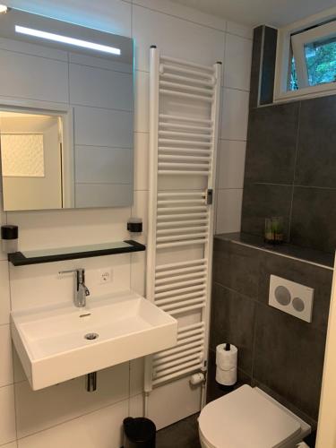 un bagno con lavandino, specchio e WC di Gouden Hert: relaxen in comfort! #otterlo #hogeveluwe a Otterlo