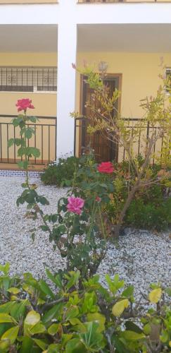 Romantic apartment 50 meters from the sea