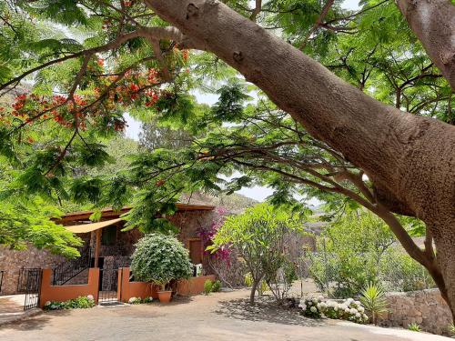 Foto Peaceful house set on a vineyard & work friendly 6