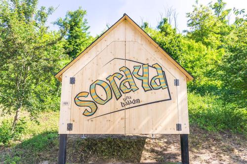 a woodenshed with graffiti on the side of it at Casa Baladin camere di Charme e Agronidi dell'Open Garden in Piozzo