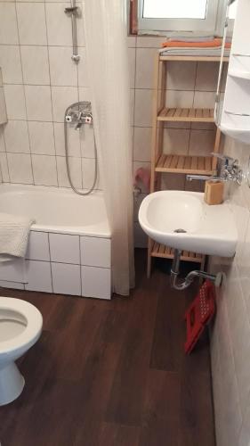 a bathroom with a toilet and a sink and a shower at Miodowa in Zwierzyniec