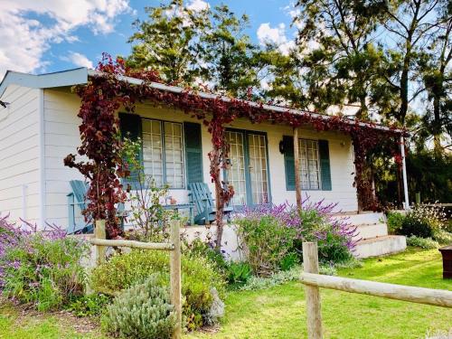 a house covered in ivy with a fence at Cheverells Farm, Kiku & Braeburn Cottage in Grabouw