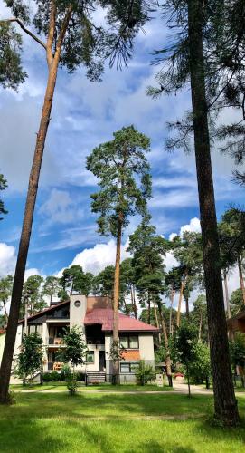 a house with a tree in the middle of a field at Kulautuva Park Apartments in Kulautuva