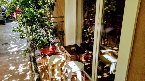 a reflection of a room with plants in a window at Dracena Guesthouse in Ravda