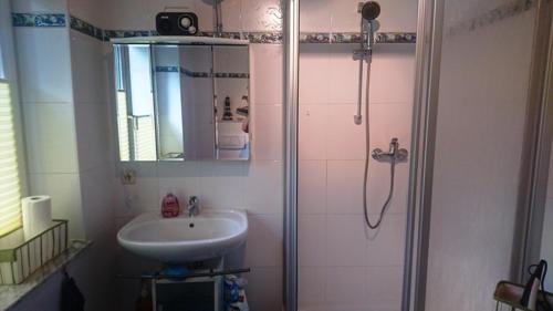 a bathroom with a shower and a sink at Ferienwohnung Am Stadtpark in Suhl