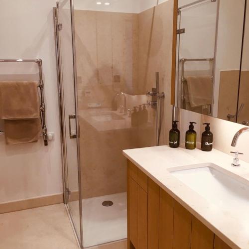 une salle de bain avec une douche, un lavabo et un miroir dans l'établissement Apartment in a working winery with private rooftop terrace, à Marigny-Brizay