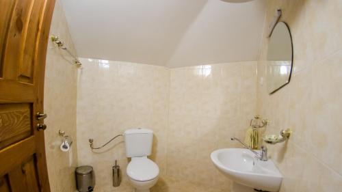 ein Bad mit einem WC und einem Waschbecken in der Unterkunft Къща за гости Черна река in Ribarica