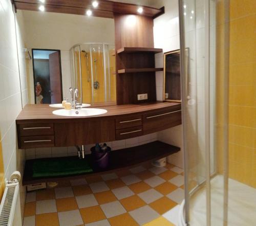 a bathroom with a sink and a shower at Seeappartment Regina Bodensdorf am Ossiacher See am Fuße der Gerlitzen in Tschöran