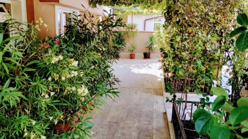 a garden with plants and a hallway of a building at Dracena Guesthouse in Ravda