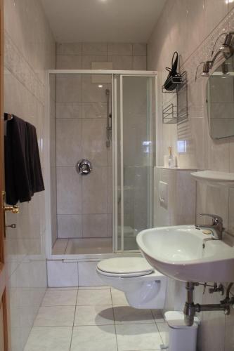 a bathroom with a shower and a toilet and a sink at Ferienwohnung Alpenrose in Goldegg