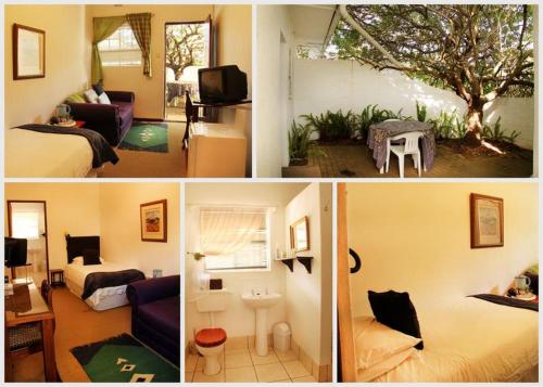 Gallery image of Fynbos Guest House Riversdale in Riversdale