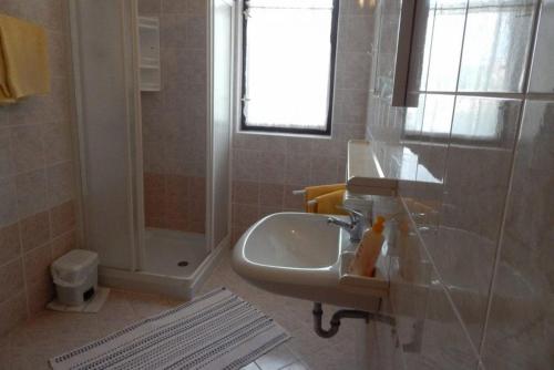La salle de bains est pourvue d'un lavabo et d'une douche. dans l'établissement Apartman Svjetličić, à Brzac