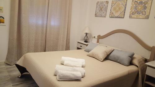 APARTAMENTO CONILSATURNO B de dos dormitorios