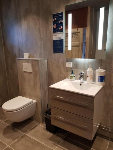 W łazience znajduje się toaleta, umywalka i lustro. w obiekcie Pilegrimsherberge InnomHaug w mieście Jessheim