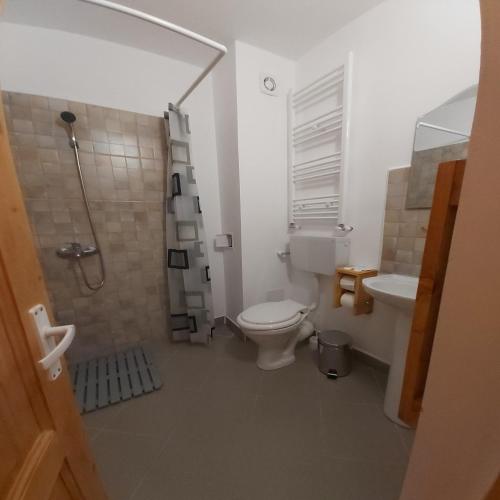 a bathroom with a shower and a toilet and a sink at CONACUL SARBESC in Sviniţa