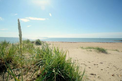 a sandy beach with grass and the ocean in the background at Alexander Lodge in Bournemouth