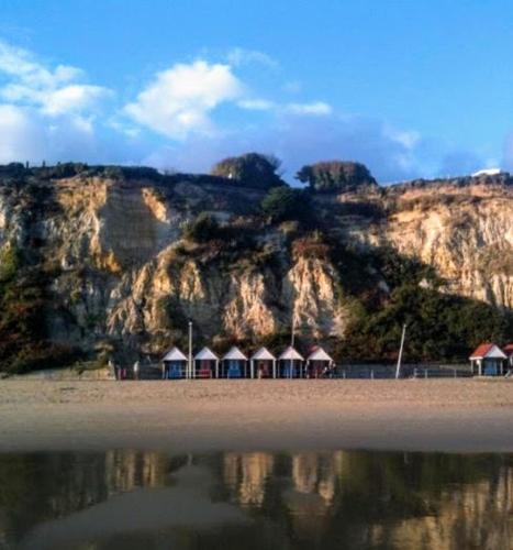 a group of huts on a beach next to a mountain at Alexander Lodge in Bournemouth
