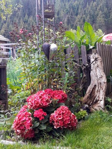 a garden with red flowers and a fence at Bed & Breakfast Dolomiti Bey Haus Pinter in Assling
