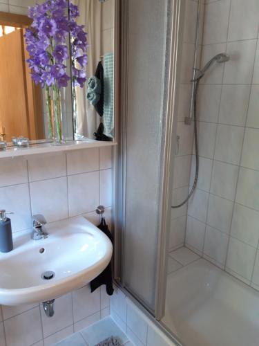 a bathroom with a sink and a shower at Ein Bett im Kornfeld - Haus Weitblick - mit Innenpool in Schönfeld