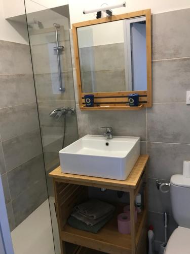 une salle de bain avec un lavabo, une douche et un miroir dans l'établissement Studio pied dans l’eau CAP CORSE ERBALUNGA, à Brando