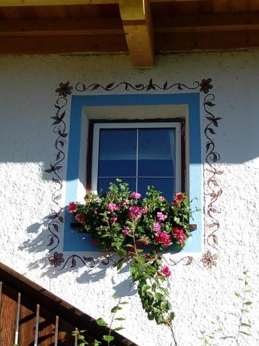 a window with a flower box on a window sill at Bed & Breakfast Dolomiti Bey Haus Pinter in Assling