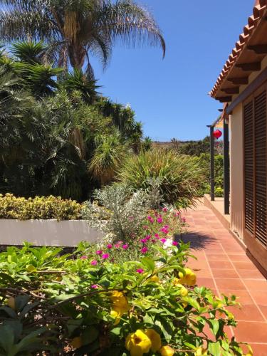a garden with pink and yellow flowers on a sidewalk at Finca La Punta in Icod de los Vinos