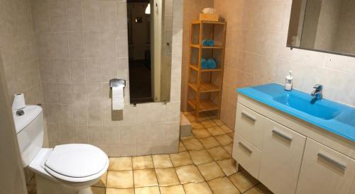 ミッテヴィヒエにあるGite des cigognes bleuのバスルーム(トイレ、青いシンク付)