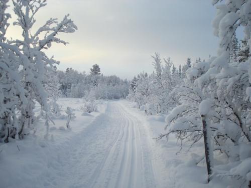 a snow covered road with snow covered trees at Fjällriket Baggården in Baggården
