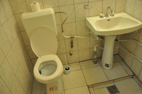 A bathroom at Pensiunea Rustic