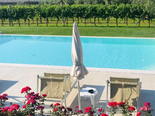 a white umbrella and a chair next to a swimming pool at Residenza Eden in Colà di Lazise