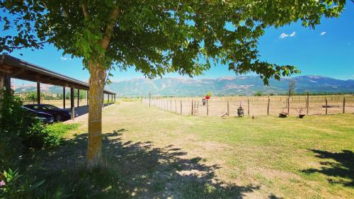 a tree in a field with mountains in the background at Agriturismo Il Pozzo in Polla