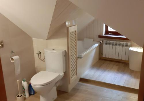 a bathroom with a toilet and a sink at Pod Dębem Bis in Giby