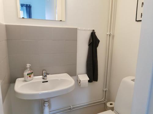 bagno con lavandino, servizi igienici e specchio di Falköpings Vandrarhem/Hostel a Falköping