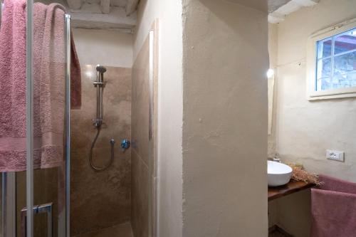 a bathroom with a shower and a sink at Casa Collodi Castello in Collodi