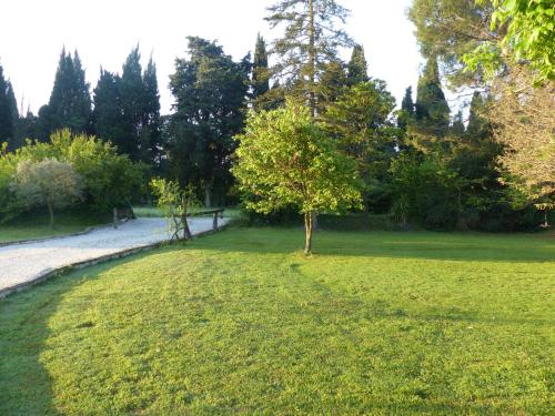 einen Park mit einem Baum inmitten eines Feldes in der Unterkunft Mas d'Auseu in Cavaillon